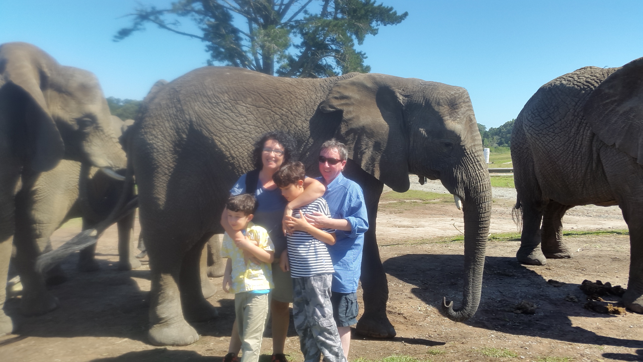 The whole family having our picture taken with an elephant