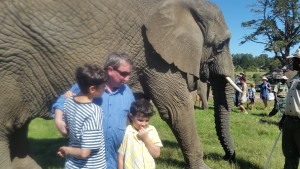 Deniz Ender and Daddy feeding the elephants